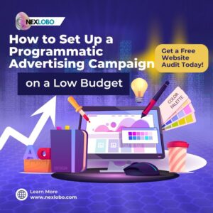 Programmatic Advertising Campaign 