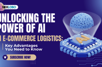 AI in E-Commerce Logistics? What Are the Advantages?